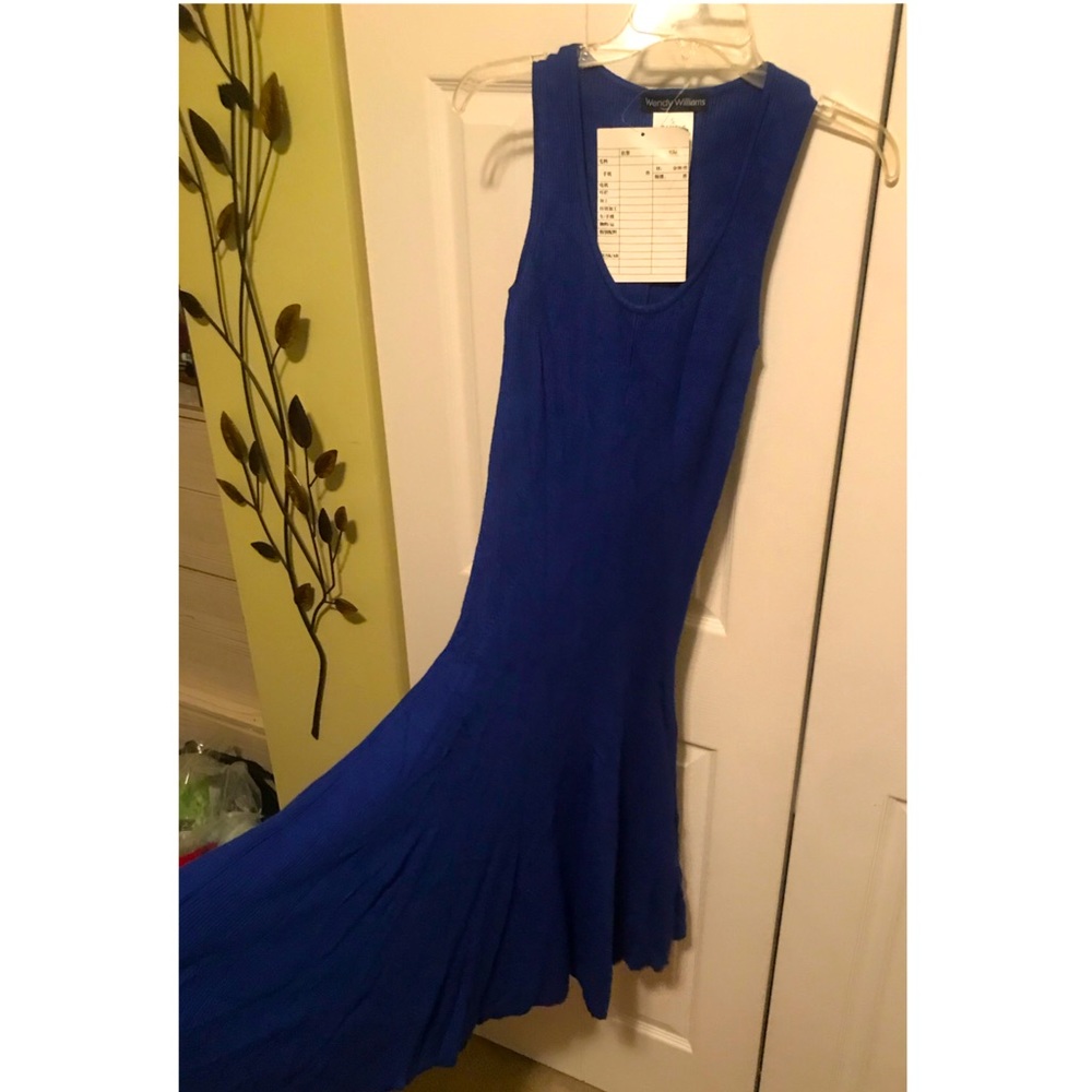 Blue Knit Sleeveless Flare Dress